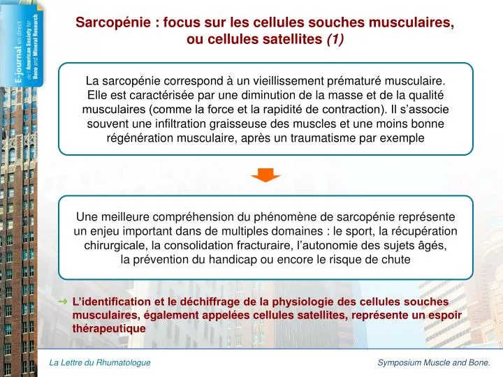 sarcop nie focus sur les cellules souches musculaires ou cellules satellites 1