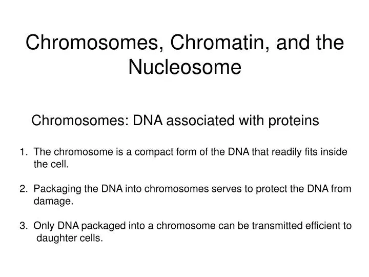 chromosomes chromatin and the nucleosome