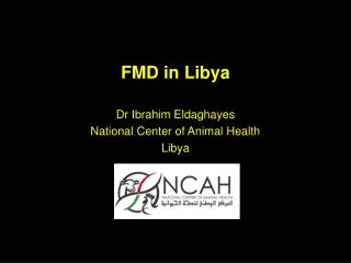 FMD in Libya
