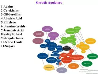 Growth regulators Auxins Cytokinins Gibberellins Abscisic Acid Ethylene Brassinoteroids