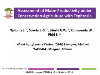 Assessment of Maize Productivity under Conservation Agriculture with Tephrosia