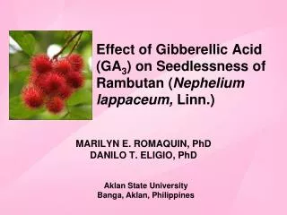 Effect of Gibberellic Acid (GA 3 ) on Seedlessness of Rambutan ( Nephelium lappaceum, Linn.)