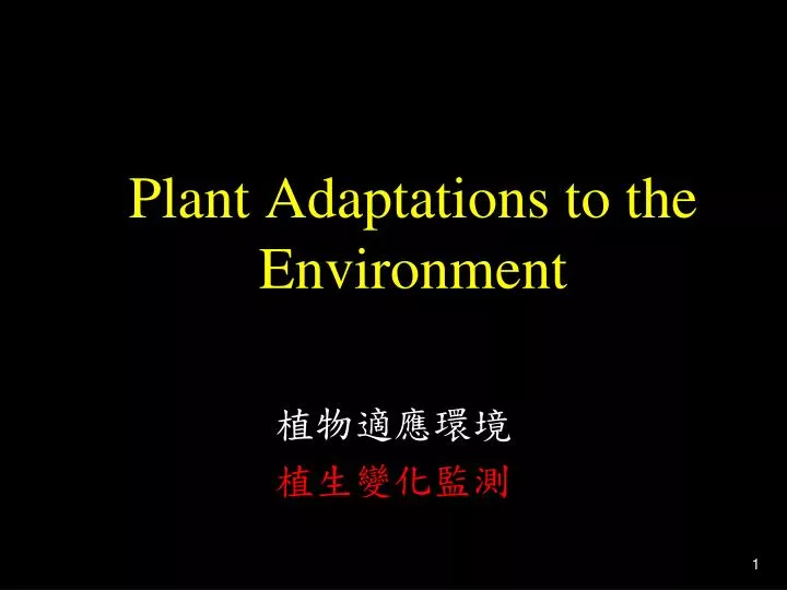 plant adaptations to the environment