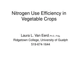 Nitrogen Use Efficiency in Vegetable Crops