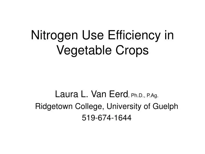 nitrogen use efficiency in vegetable crops