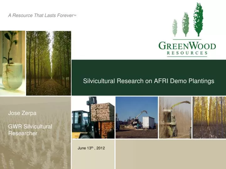 silvicultural research on afri demo plantings