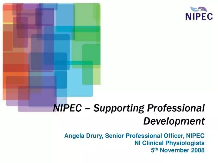 nipec supporting professional development