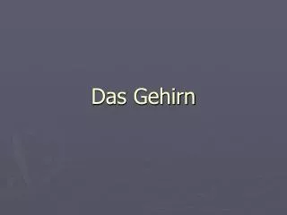 das gehirn