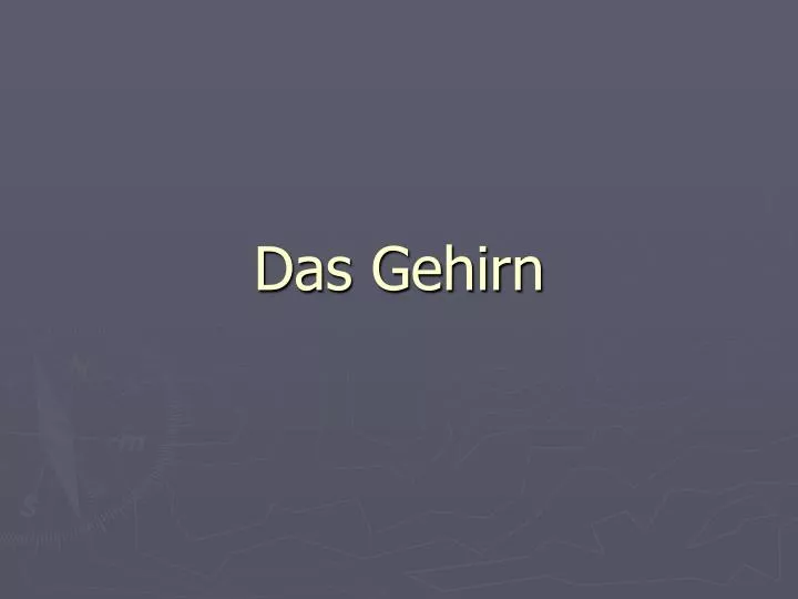 das gehirn