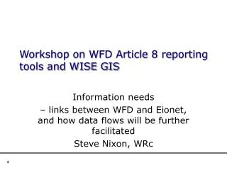 Workshop on WFD Article 8 reporting tools and WISE GIS