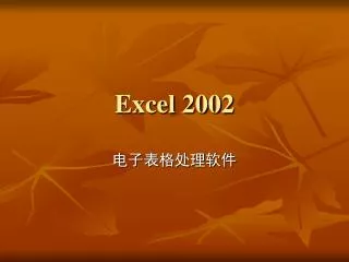 excel 2002