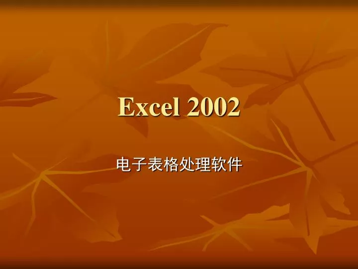 excel 2002