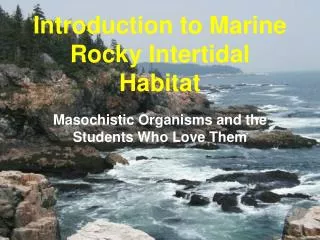 Introduction to Marine Rocky Intertidal Habitat