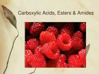 Carboxylic Acids, Esters &amp; Amides