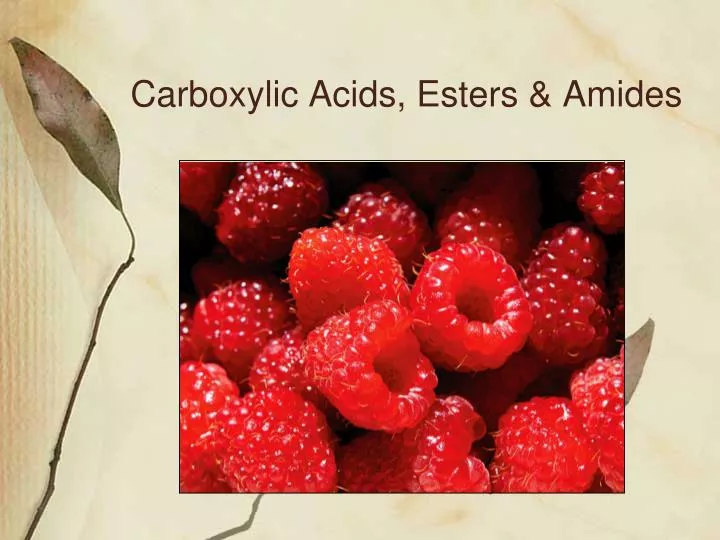 carboxylic acids esters amides