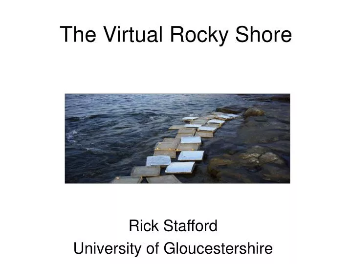 the virtual rocky shore