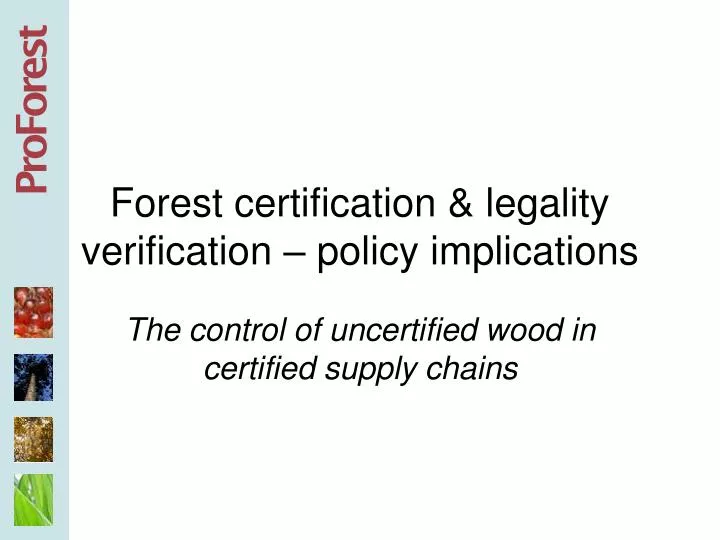 forest certification legality verification policy implications