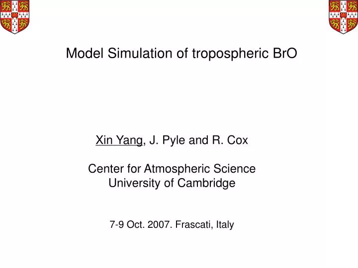 model simulation of tropospheric bro