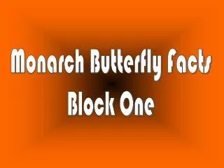 Monarch Butterfly Facts Block One