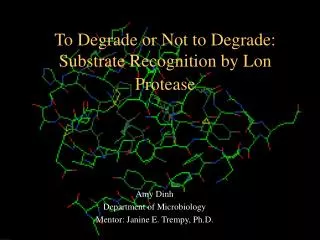To Degrade or Not to Degrade: Substrate Recognition by Lon Protease