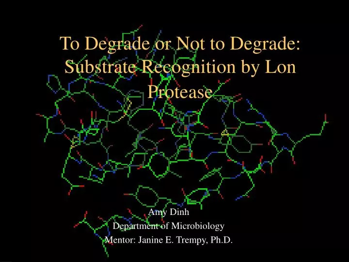 to degrade or not to degrade substrate recognition by lon protease