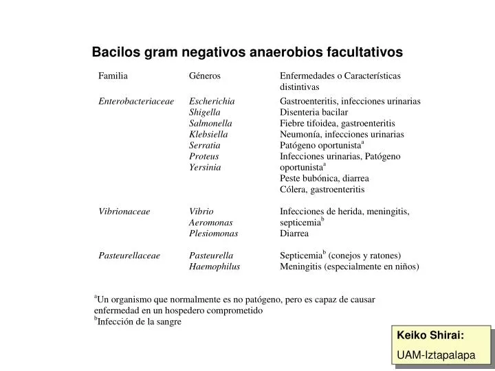 bacilos gram negativos anaerobios facultativos