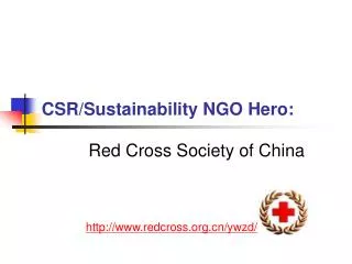 CSR/Sustainability NGO Hero: