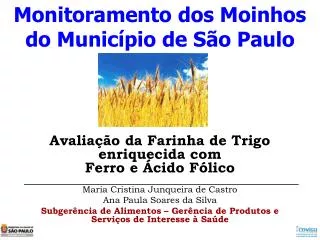 monitoramento dos moinhos do munic pio de s o paulo