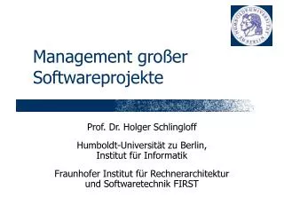 management gro er softwareprojekte