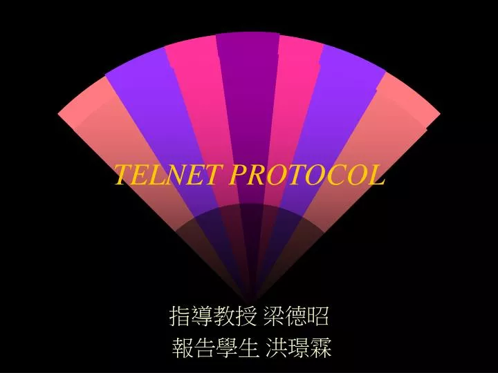 telnet protocol