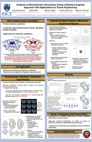 Protein structure prediction Computer-aided pharmaceutical design: Modeling receptor flexibility