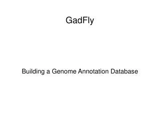 GadFly