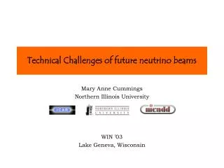 Technical Challenges of future neutrino beams