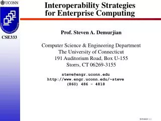Interoperability Strategies for Enterprise Computing