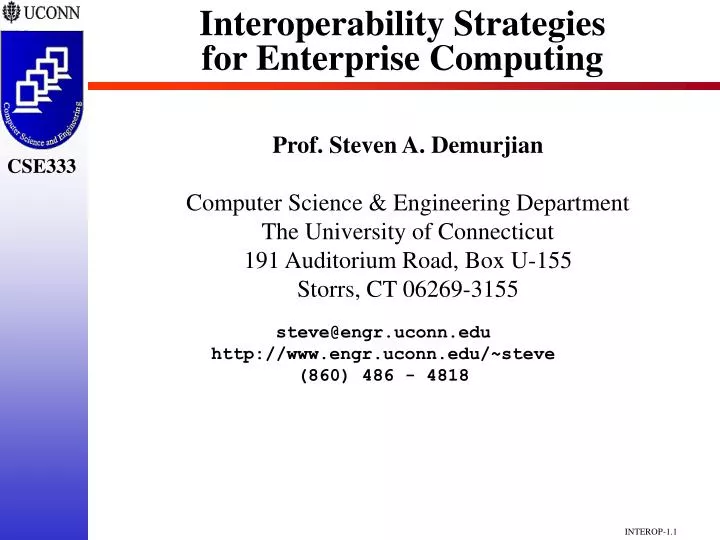 interoperability strategies for enterprise computing