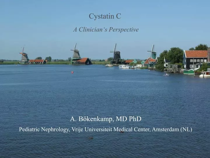 cystatin c a clinician s perspective