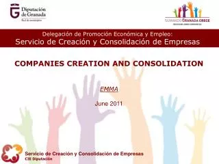 COMPANIES CREATION AND CONSOLIDATION EMMA June 2011