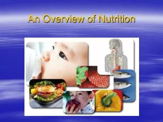 An Overview of Nutrition