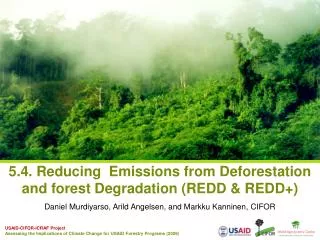 5.4. Reducing Emissions from Deforestation and forest Degradation (REDD &amp; REDD+)