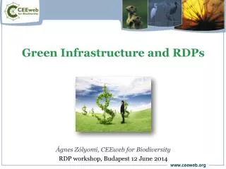 Green Infrastructure and RDPs
