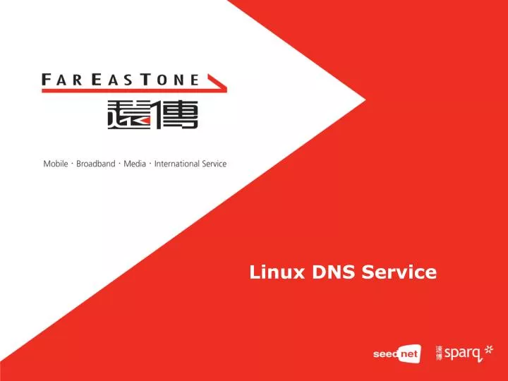 linux dns service