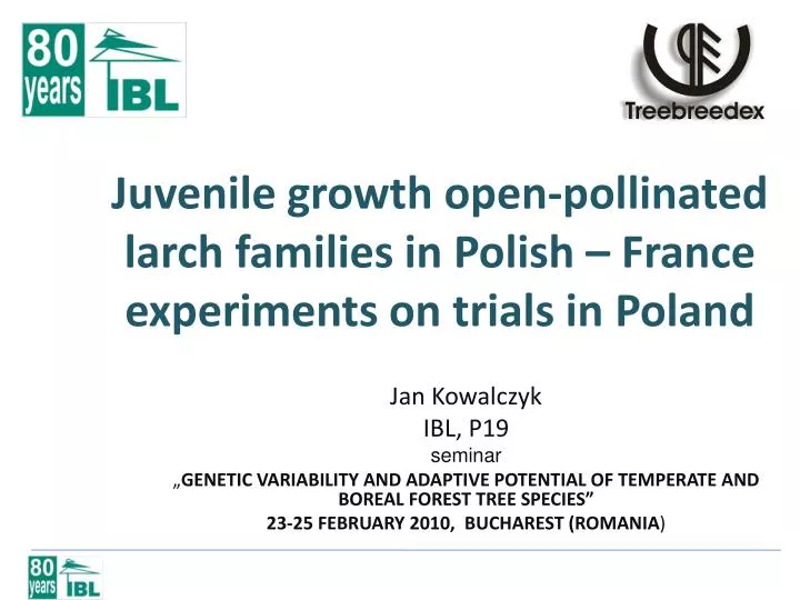 juvenile growth open pollinated larch families in polish france experiments on trials in poland