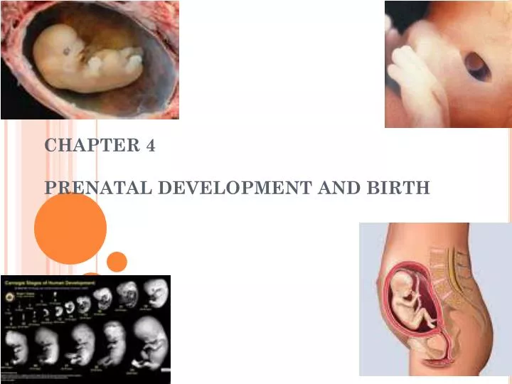 chapter 4 prenatal development and birth