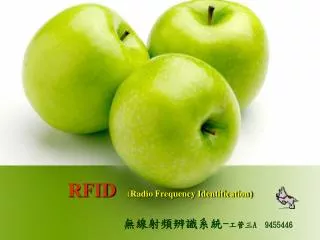 rfid radio frequency identification