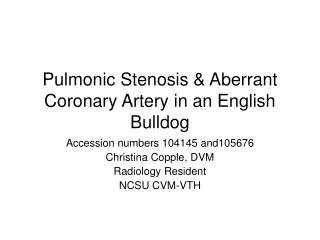 Pulmonic Stenosis &amp; Aberrant Coronary Artery in an English Bulldog