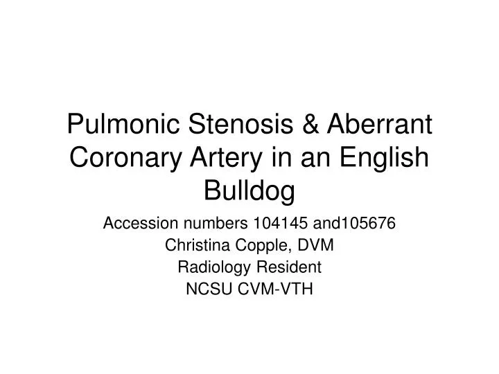 pulmonic stenosis aberrant coronary artery in an english bulldog
