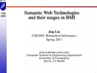 Semantic Web Technologies and their usages in BMI