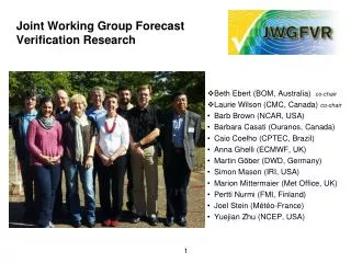 Joint Working Group Forecast Verification Research