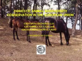 DOMESTIC ANIMAL BIODIVERSITY CONSERVATION IN THE EUROPEAN UNION