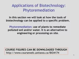 Applications of Biotechnology: Phytoremediation